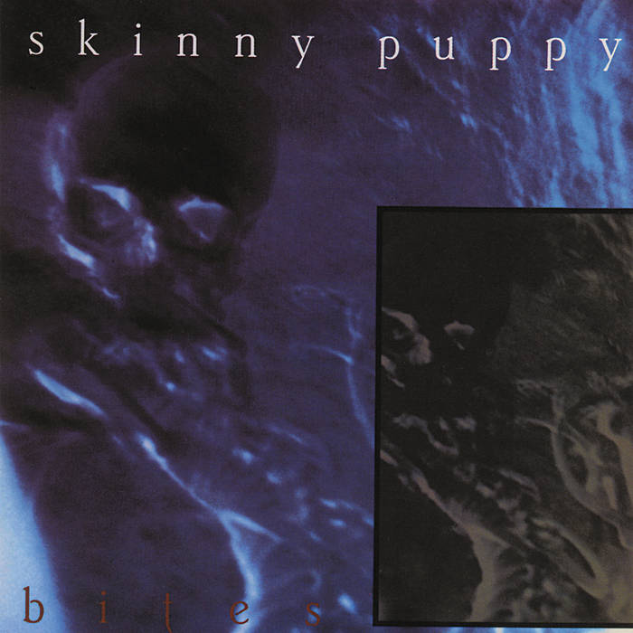skinny puppi