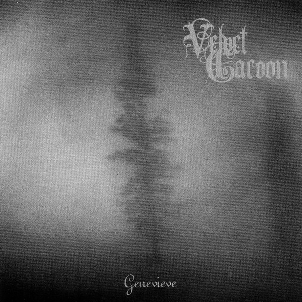 Velvet Cacoon